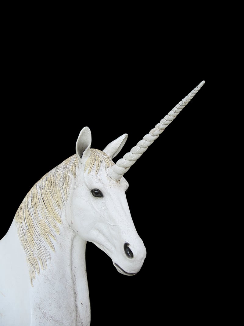 Unicorn Image